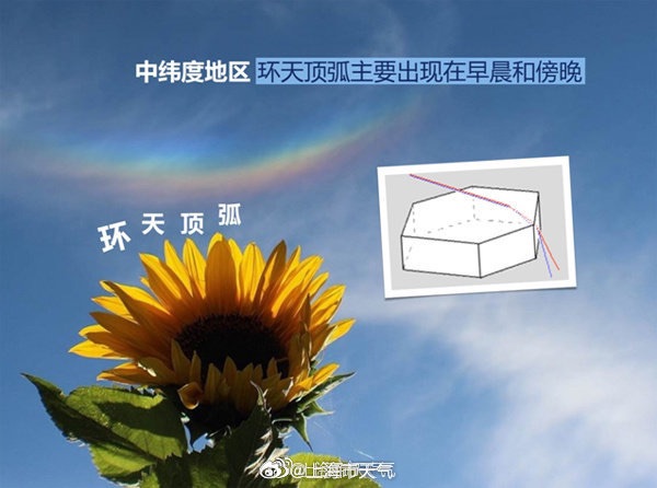 【知识产权声明】